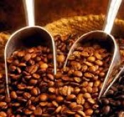 CÔNG TY TNHH QUỐC TẾ ĐẠI LÂM PHÁT