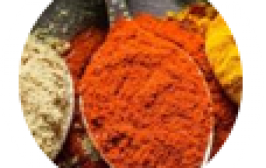 MÀU THỰC PHẨM_ MÀU AN TOÀN 2019