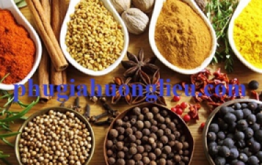 PHỤ GIA THỰC PHẨM_( PHẦN  1)