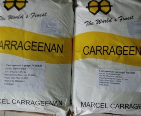 carrageenan